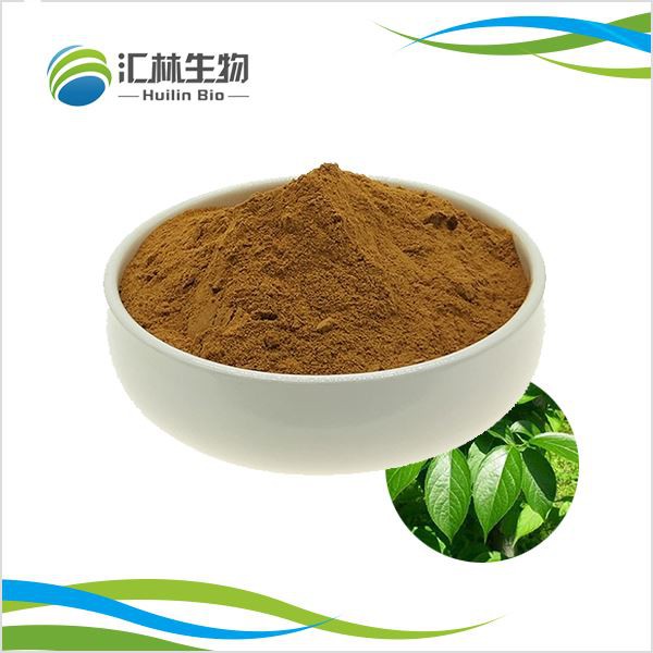 Puhas Eucommia ekstrakt 10:1